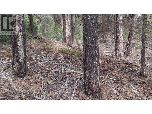 Lot 3 Summit Road, Canim Lake, BC 