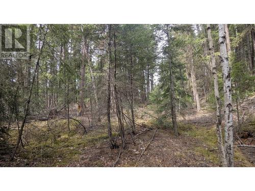 Lot 3 Summit Road, Canim Lake, BC 