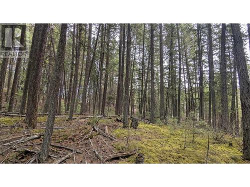Lot 3 Summit Road, Canim Lake, BC 