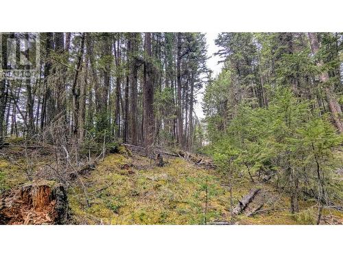 Lot 3 Summit Road, Canim Lake, BC 