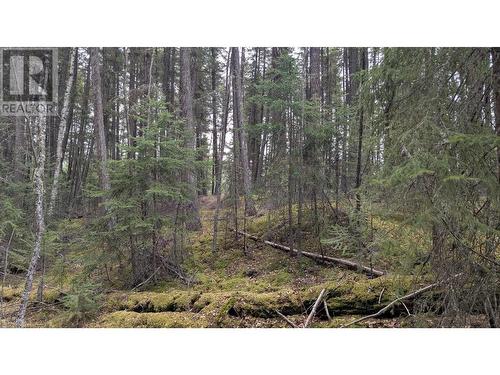 Lot 3 Summit Road, Canim Lake, BC 