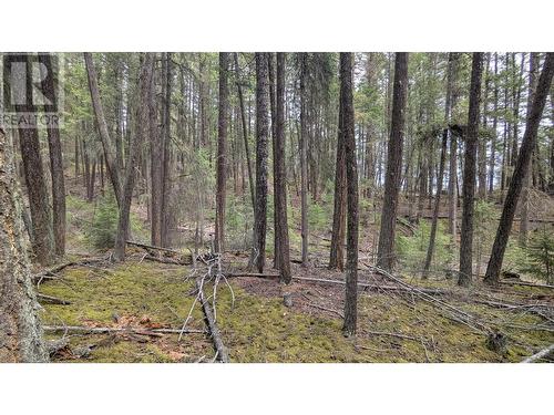 Lot 3 Summit Road, Canim Lake, BC 