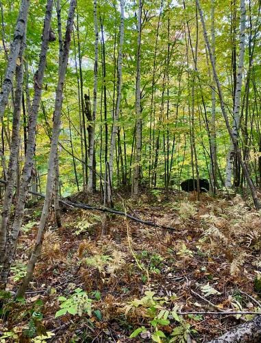 Terre/Terrain - Ch. Des Merles, Potton, QC 