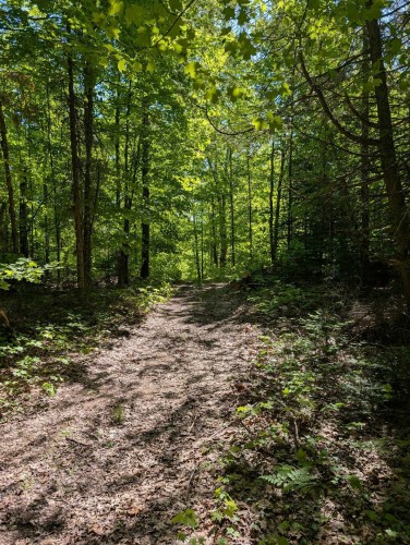 Terre/Terrain - 27 Ch. Bernier, La Pêche, QC 