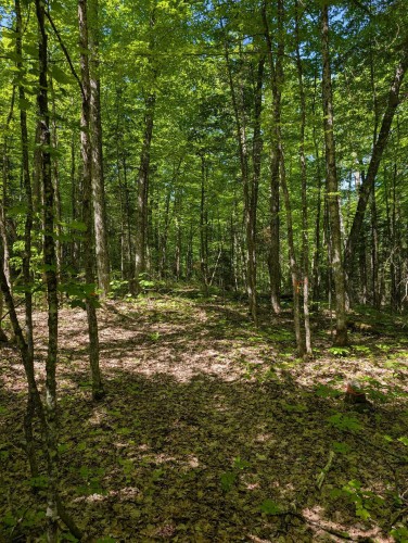 Terre/Terrain - 27 Ch. Bernier, La Pêche, QC 