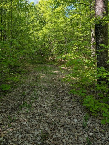 Terre/Terrain - 27 Ch. Bernier, La Pêche, QC 