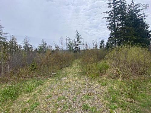 0 Lansdowne Road, Lansdowne, NS 