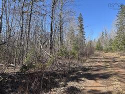 Black Lake, No 104 Highway  Black Lake, NS B0M 1X0