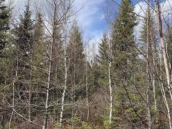 Lot Hunter West Road  Wentworth Valley, NS B0M 1Z0