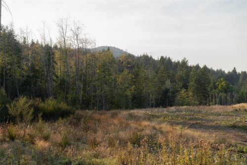 547 Beddis Rd, Salt Spring, BC 