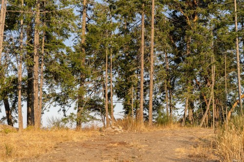 547 Beddis Rd, Salt Spring, BC 