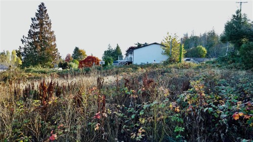#7346-E Harby Rd, Lantzville, BC 
