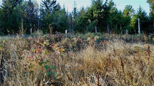 #7346-E Harby Rd, Lantzville, BC 