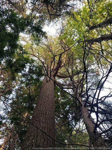 Lot 23-2 B De La Paix, Sainte-Marie-De-Kent, NB 