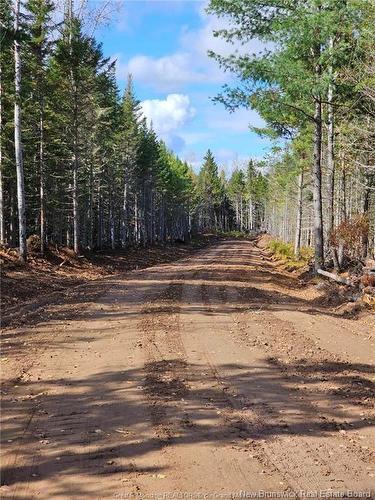 Lot 23-15 De La Paix, Sainte-Marie-De-Kent, NB 