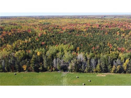 Lot 23-15 De La Paix, Sainte-Marie-De-Kent, NB 