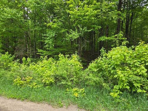 Frontage - Ch. Braemar, Gore, QC 