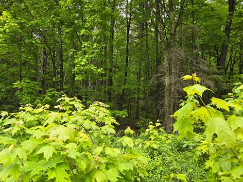 Land/Lot - Ch. Braemar, Gore, QC 