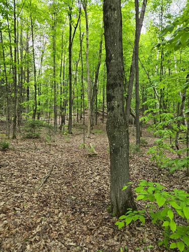 Land/Lot - Ch. Braemar, Gore, QC 