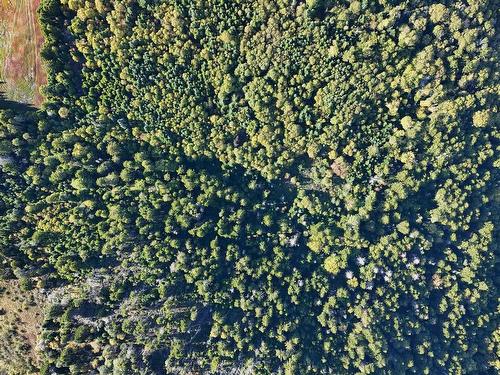 N/A 209 Highway, Wards Brook, NS 