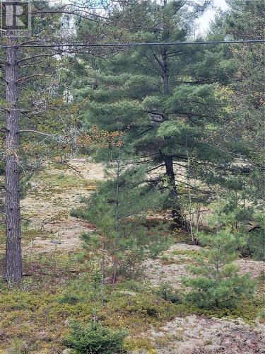 Lot 1 Hwy 535, Noelville, ON 