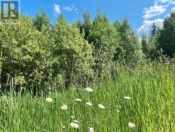 Parcel F Railway Avenue  Salmo, BC V0G 1Z0