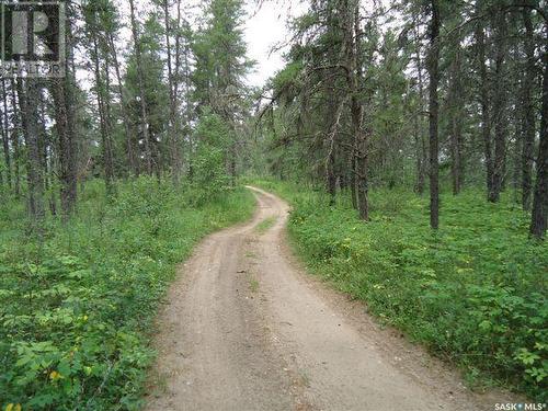 Regional Park Lot 1-3, Hudson Bay Rm No. 394, SK 
