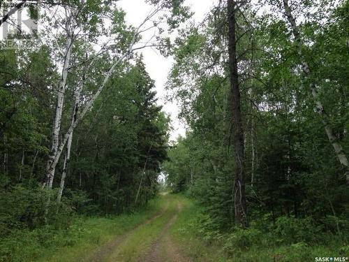 Regional Park Lot 1-3, Hudson Bay Rm No. 394, SK 