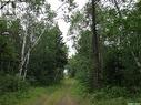 Regional Park Lot 1-3, Hudson Bay Rm No. 394, SK 
