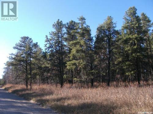 Regional Park Lot 1-3, Hudson Bay Rm No. 394, SK 