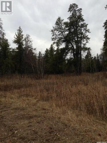 Regional Park Lot 4-3, Hudson Bay Rm No. 394, SK 