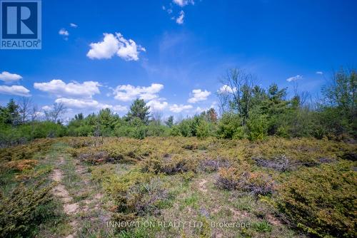 12 Frank Davis Street, Mississippi Mills, ON 