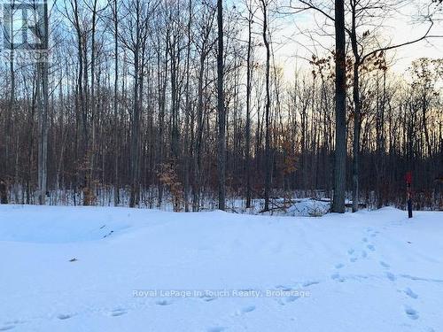 Lot in Winter - Lot 64 Whispering Pine Circle, Tiny, ON 