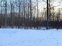 Lot in Winter - Lot 64 Whispering Pine Circle, Tiny, ON 