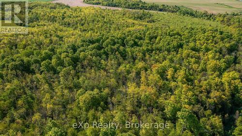 E 1/2 Lt 29-30 Con 4; Sideroad 30, Meaford, ON 