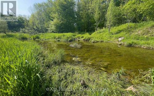 E 1/2 Lt 29-30 Con 4; Sideroad 30, Meaford, ON 