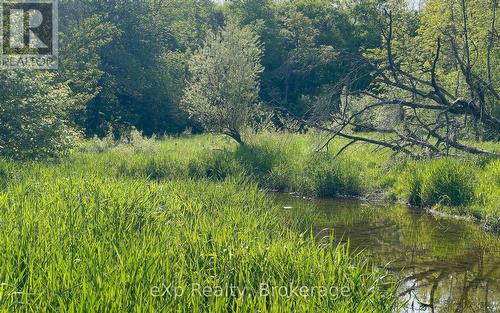 E 1/2 Lt 29-30 Con 4; Sideroad 30, Meaford, ON 