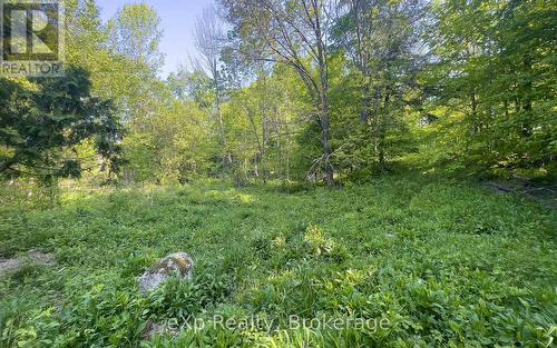 E 1/2 Lt 29-30 Con 4; Sideroad 30, Meaford, ON 