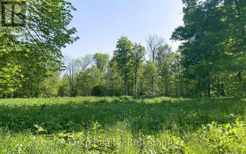 E 1/2 Lt 29-30 Con 4; Sideroad 30, Meaford, ON 