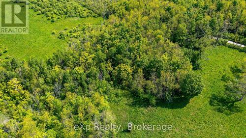 Ptlt 29 Con 1S, St. Vincent-Sydenham Townline, Meaford, ON 