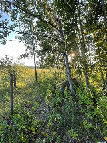 35 Acres South, Hudson Bay Rm No. 394, SK - Outdoor