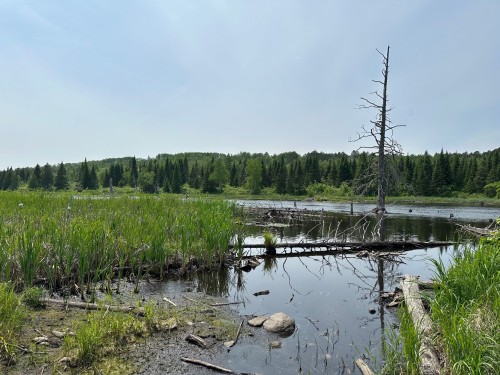 Bord de l'eau - 7E Rang E., Saint-Joseph-De-Kamouraska, QC 
