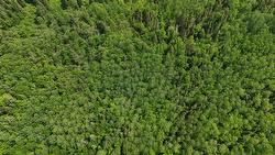 7e Rang E.  Saint-Joseph-De-Kamouraska, QC G0L 3P0