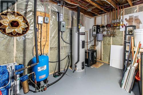 218 Buckingham Drive, Paradise, NL - Indoor Photo Showing Basement