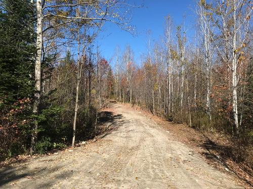 Frontage - Ch. Gibson, Alleyn-Et-Cawood, QC 