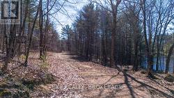 00 TURKEY LANE  North Frontenac (Frontenac North), ON K0H 1C0