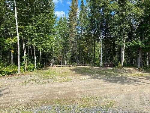 390 Theriault Rd, Middle River, NB 
