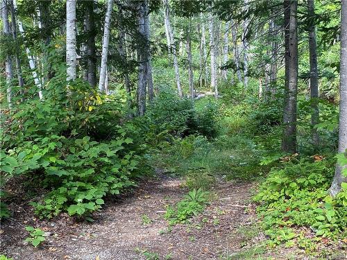 390 Theriault Rd, Middle River, NB 