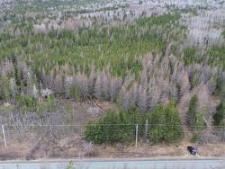 Lot 395 Highway Ainslie Glen, NS B0E 3M0