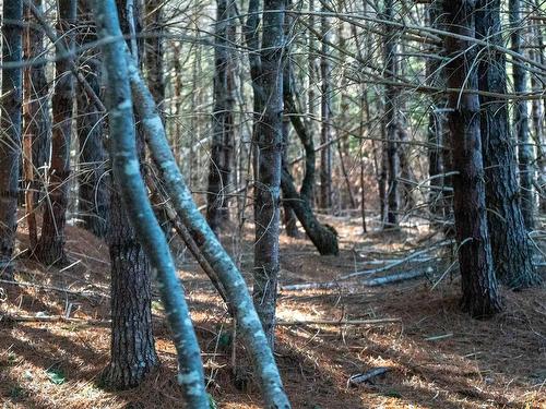 Lot Ss-1 Maple Drive, Lower Ohio, NS 
